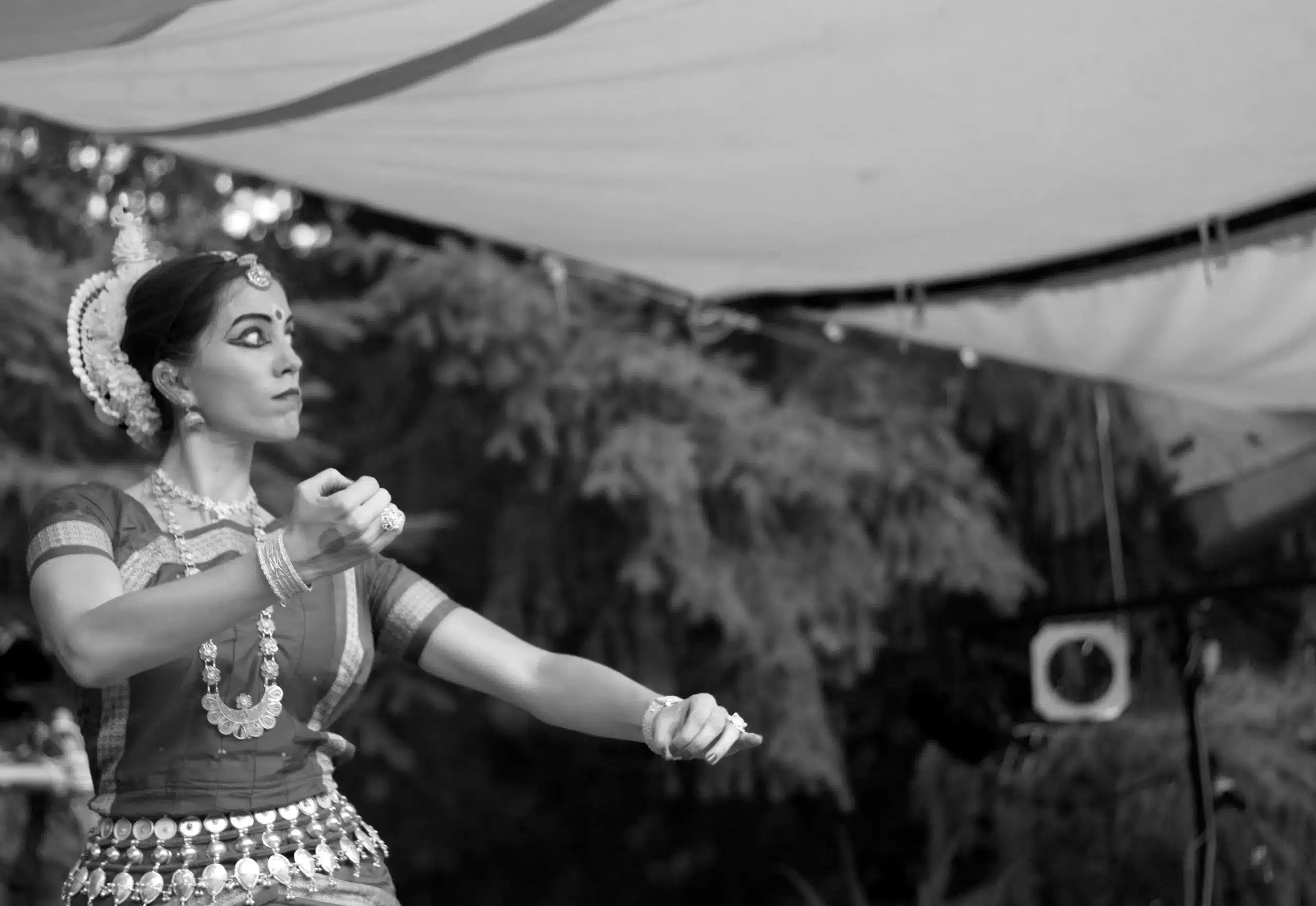 IMG_7247